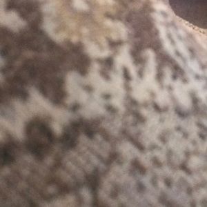 Meet your Posher, Carla